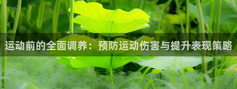 k1体育十年品牌官网