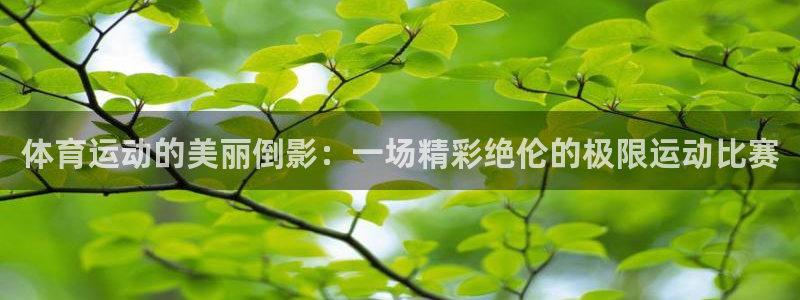 k1体育下载地址