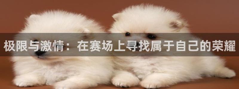 k1体育十年品牌官网
