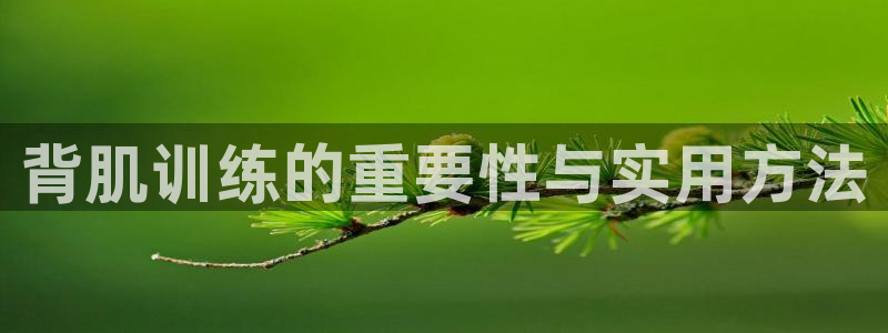 帮k1体育在线登录