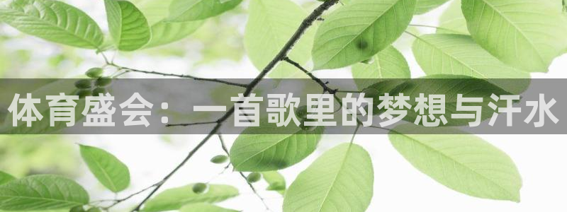 k1体育下载链接