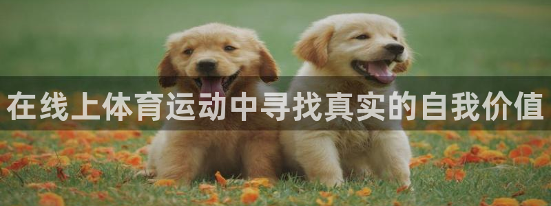 k1体育娱乐