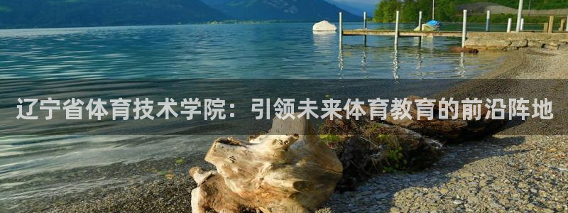 k1体育十年平台