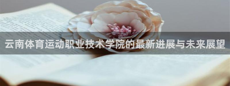 k1体育十年登录入口