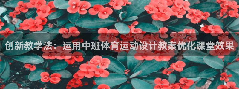 k1体育娱乐
