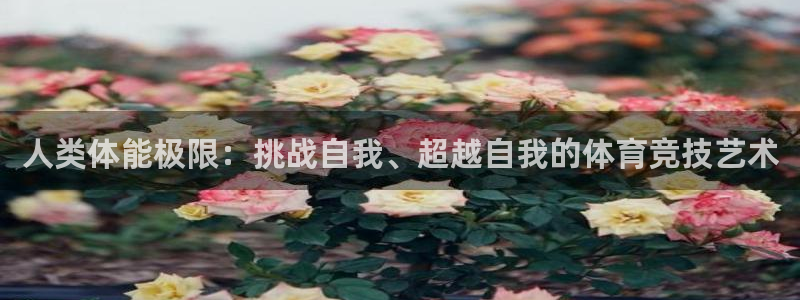 k1体育平台最新网站下载