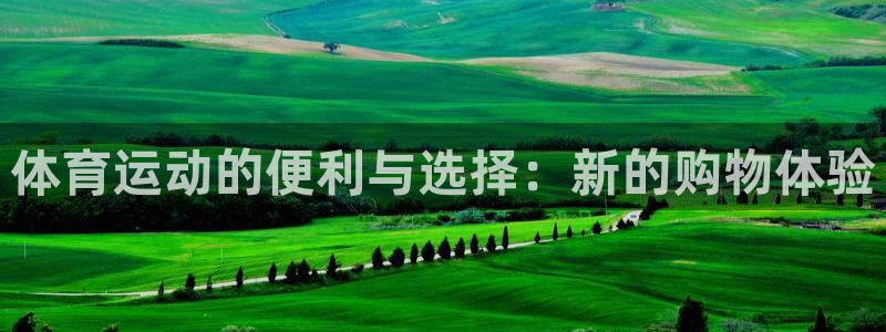 k1体育网站登录官网