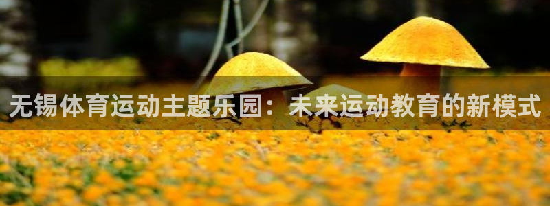 k1体育app官网登录入口