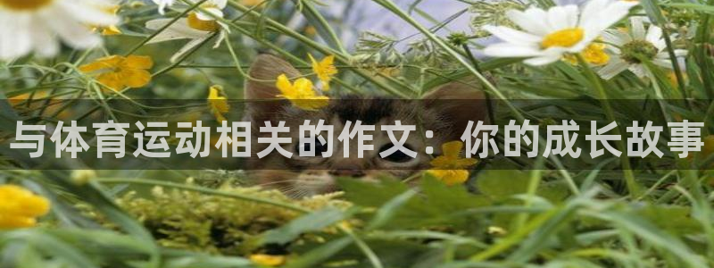 k1体育十年品牌